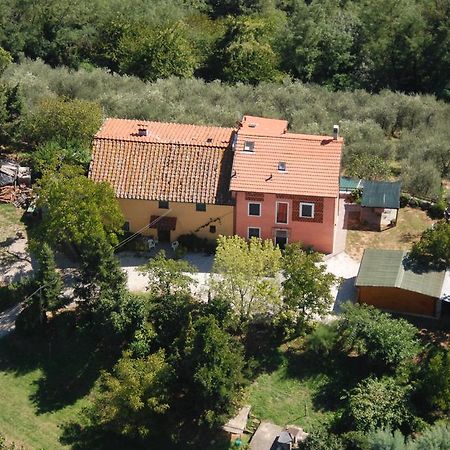 Bed and Breakfast Ospitalita Rurale L'Uccelliera Lucca Exterior foto