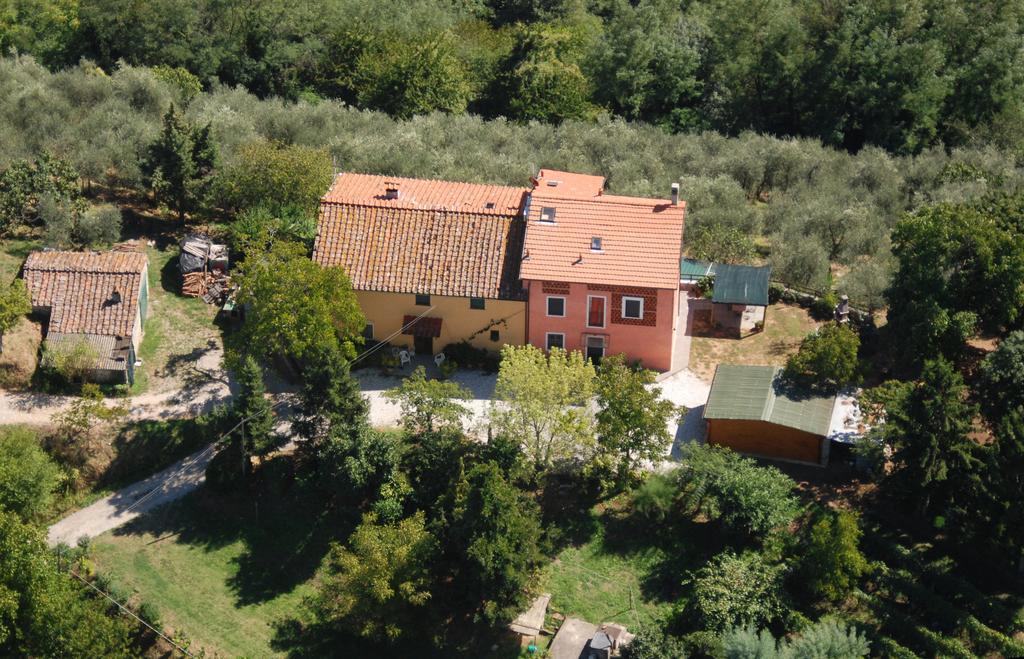 Bed and Breakfast Ospitalita Rurale L'Uccelliera Lucca Exterior foto